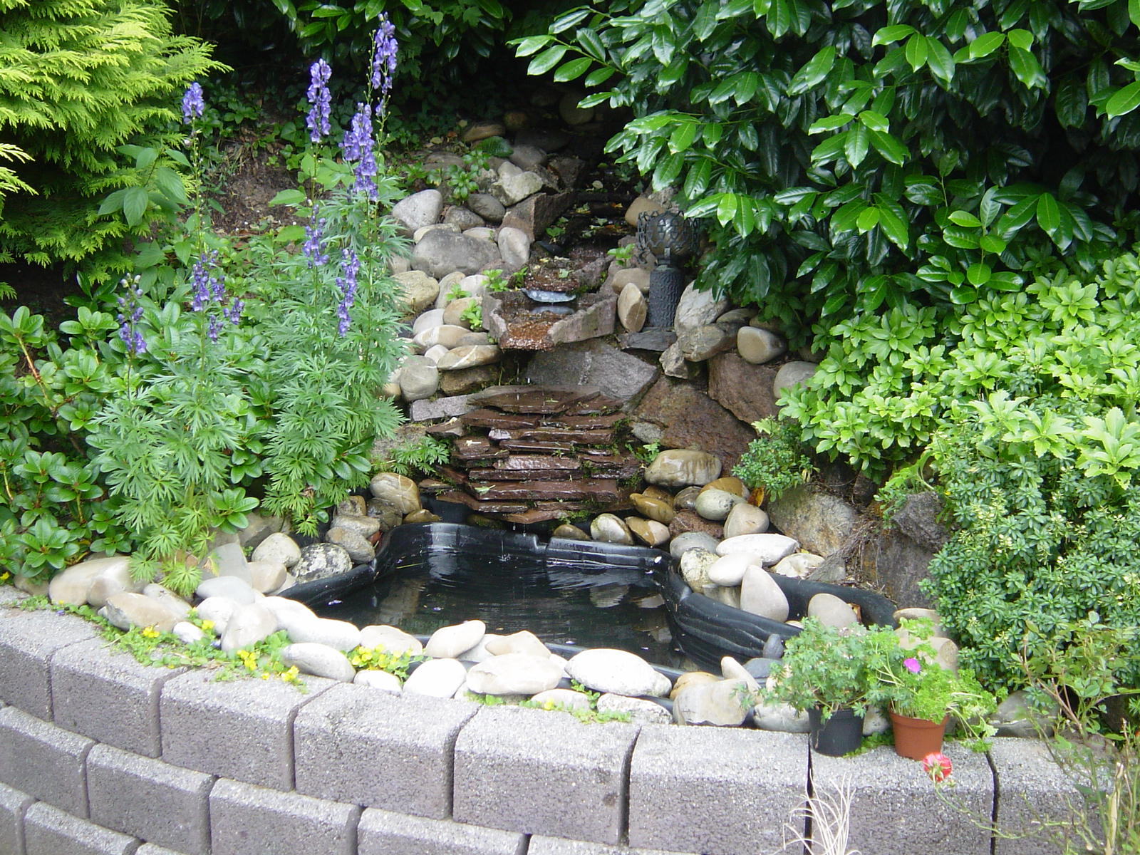 DSC01753