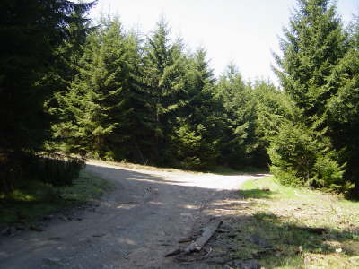 DSC01659