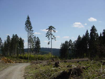 DSC01670