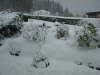 Winteransicht