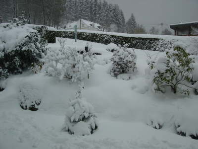 Winteransicht