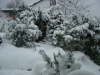 Winteransicht