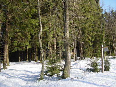 DSC02446