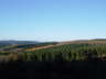 Im Herbst 1- 2003