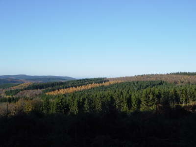 Im Herbst 1- 2003