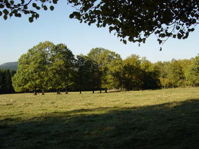 Kamerabilder_0010