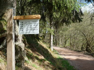 P1000138